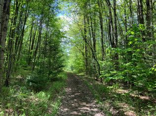 176 Dugway Road Ext, Stratford, NY 13470