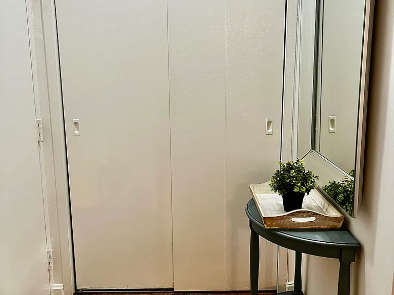 Entrance/Hallway Closet