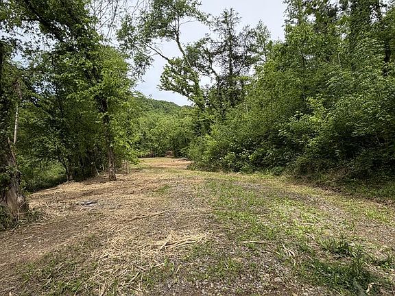 2nd image of 0 Long Branch Rd