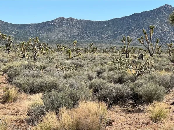 0 Mead Dr #410, Meadview, AZ 86444