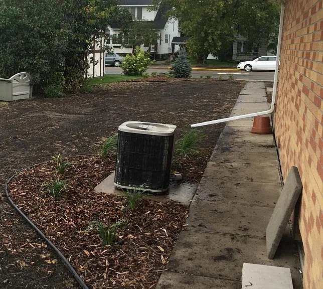Backyard (West Side)