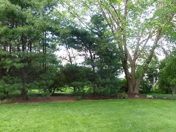 Private back yard