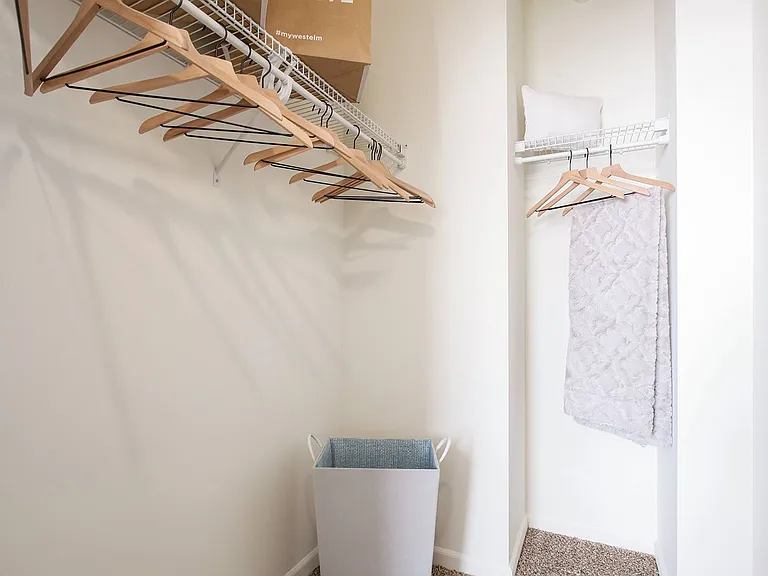 Walk-in closet with wood shelving and hanging space