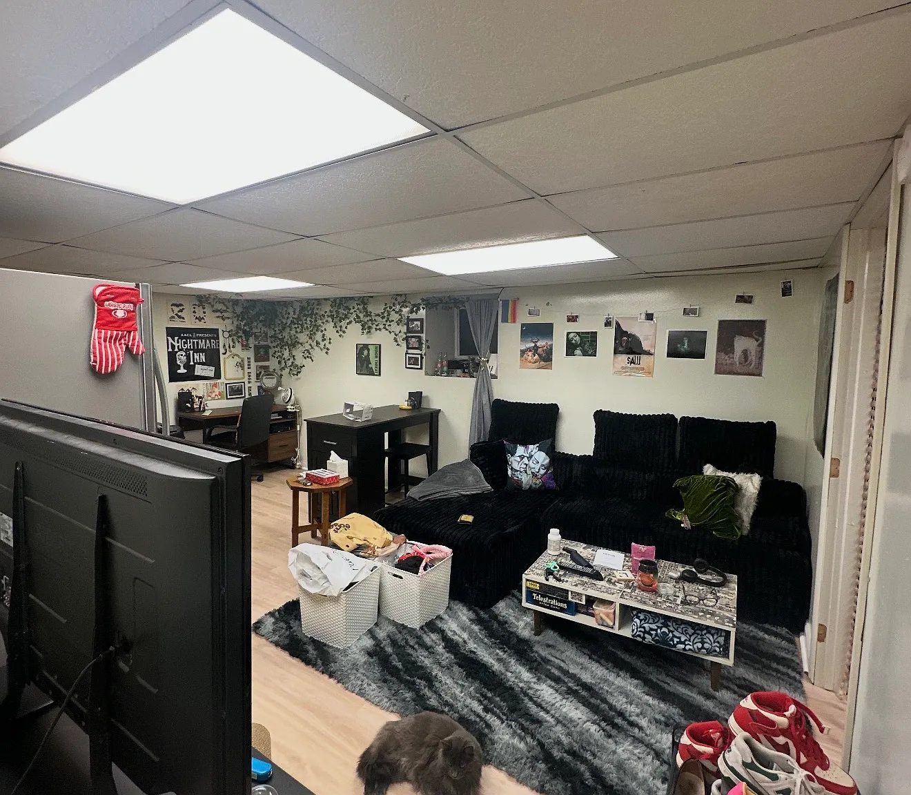 1 bed, 850 sqft, $815 — Photo 2