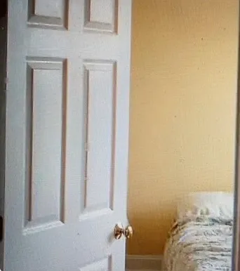 1 bed, 225 sqft, $895 — Photo 2