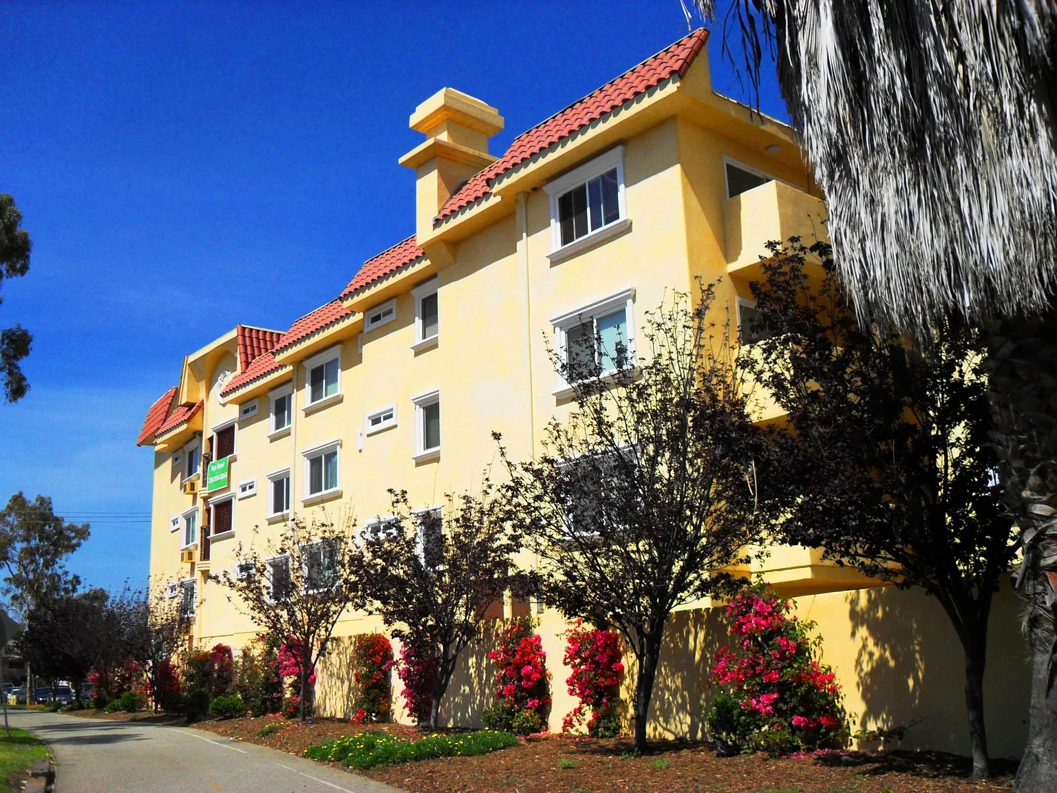 Del Rey Vista Apartments — Photo 1