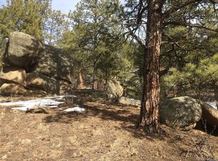 20153 Spring Creek Trl, Buffalo Creek, CO 80425