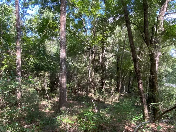 LOT 18 County Road 349, Live Oak, FL 32060