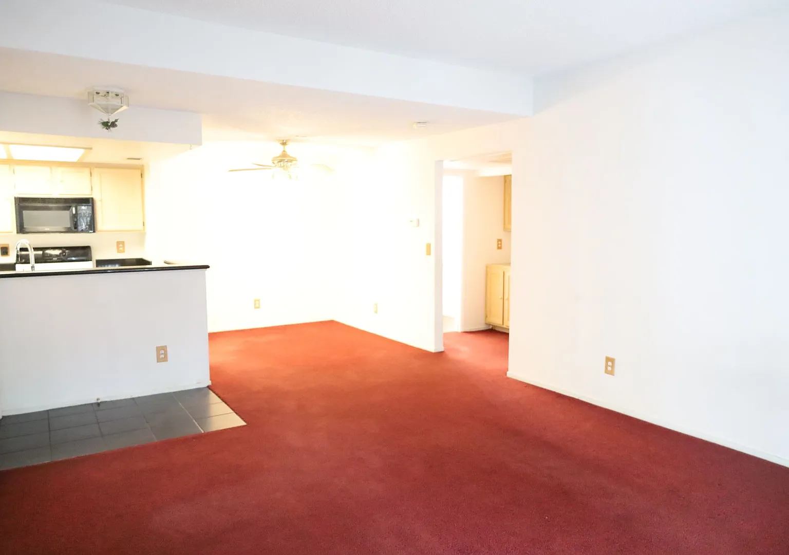 Lovely One Bedroom One Bathroom Apartment! — Photo 3