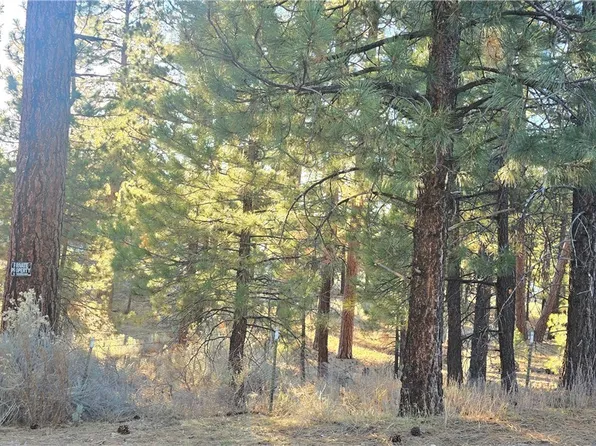 142 Olympic Dr, Big Bear Lake, CA 92315