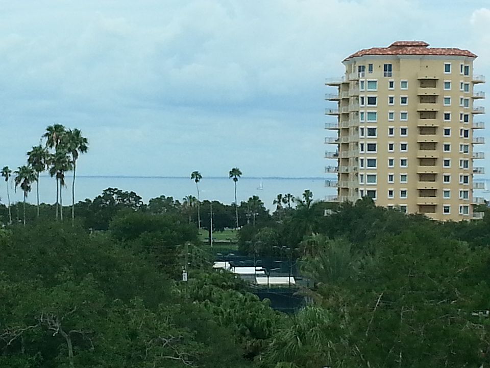 Tampa Bay Water View