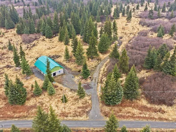 31905 Kostino Rd, Anchor Point, AK 99556