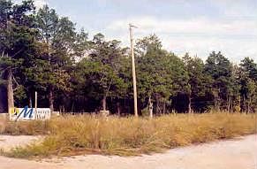 3rd image of 124 Acres Mc #2061