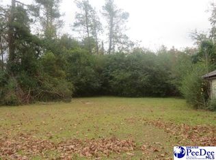 789 McGee Town Rd, Bishopville, SC 29010