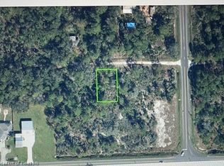 318 Pigeon Ave, Sebring, FL 33872