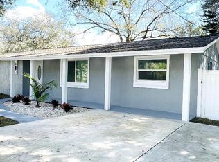 4215 E Bird St, Tampa, FL 33617