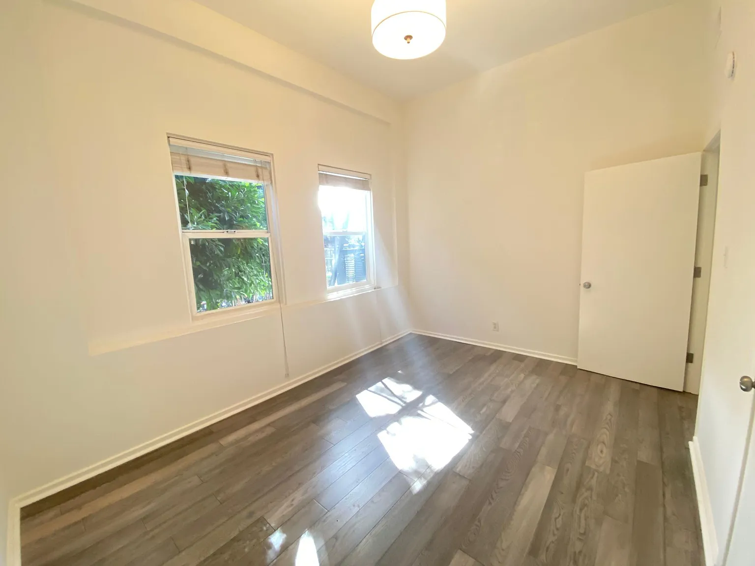 501 Octavia St — Photo 4