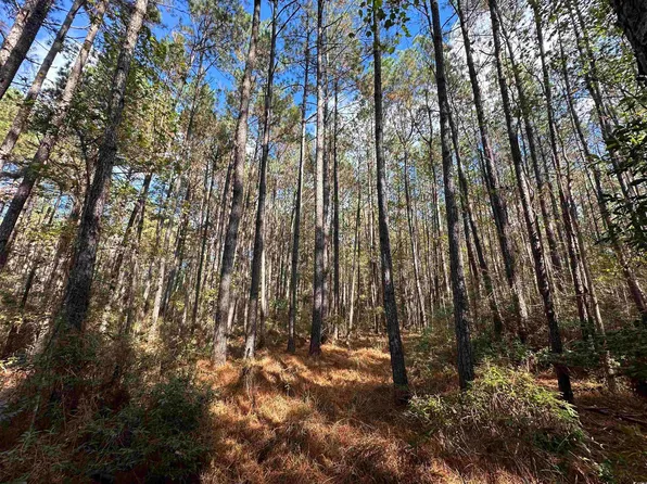 26 Acres-TBD Puncheon Creek Dr., Andrews, SC 29510