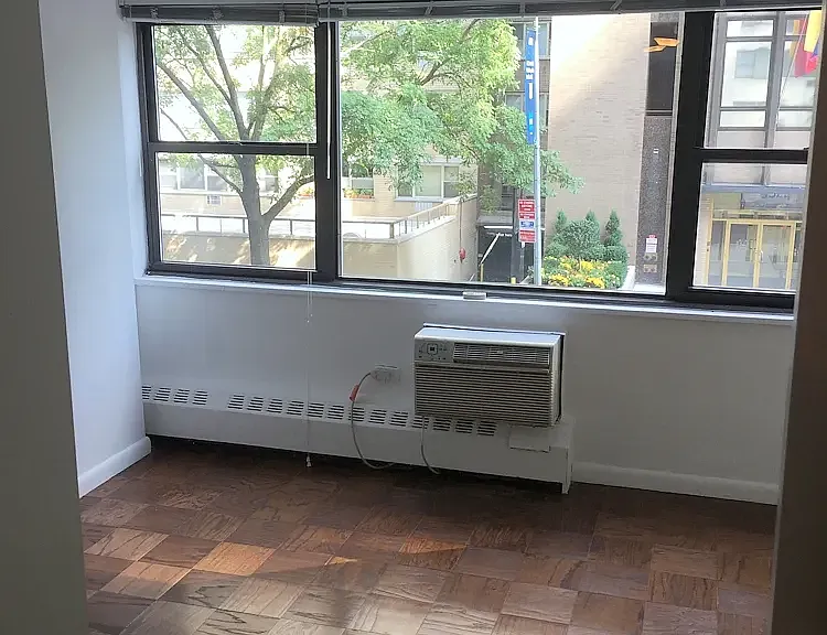 330 E 46th St #2J — Photo 4