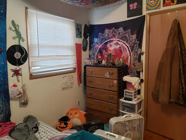 255 Park St #259 — Photo 9