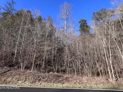 0 Jones Cove Rd Lot 17&18, Sevierville, TN, 37876