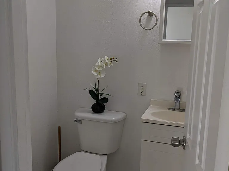 1533 Nehoa St #8 — Photo 7