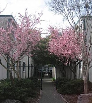 Entrance to Complex