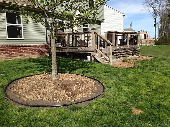 4th image of 4533 Cloverlane Ct