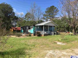 3215 Harllees Bridge Rd, Hamer, SC 29547