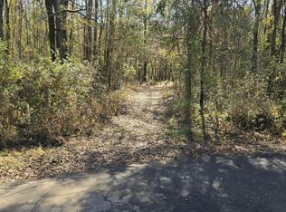 County Road 3324, Pittsburg, TX 75686