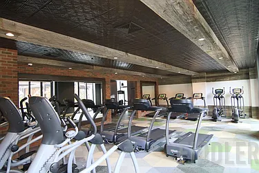 Rented by Fiddler Realty