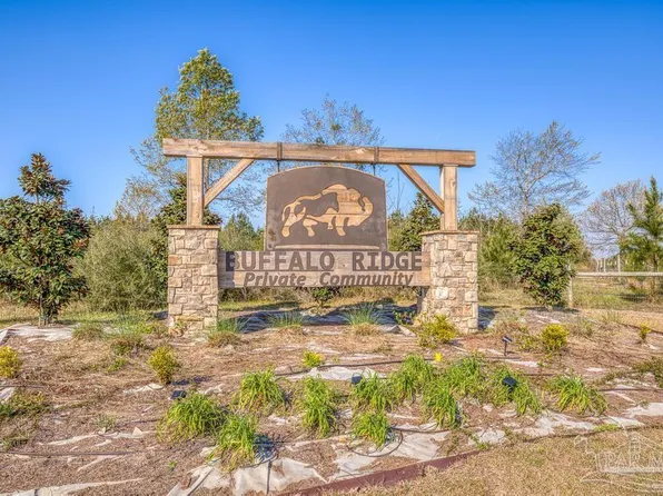 LOT 42 Buffalo Ridge Rd, Milton, FL 32571