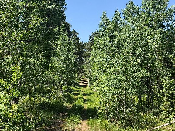 5th image of Coal Creek Canyon Dr