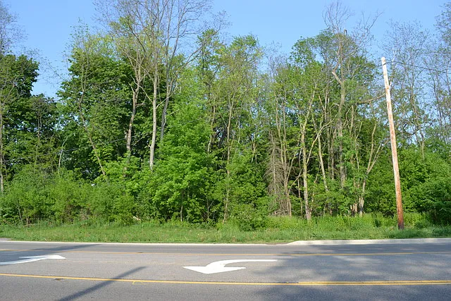 40473 N State Route 83 photo 1