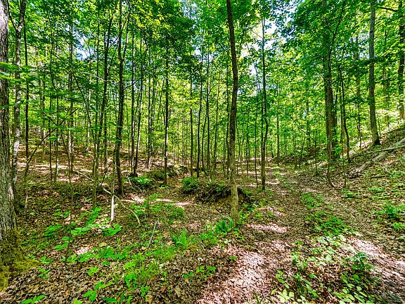 42nd image of 635 Seven Mile Ridge Rd