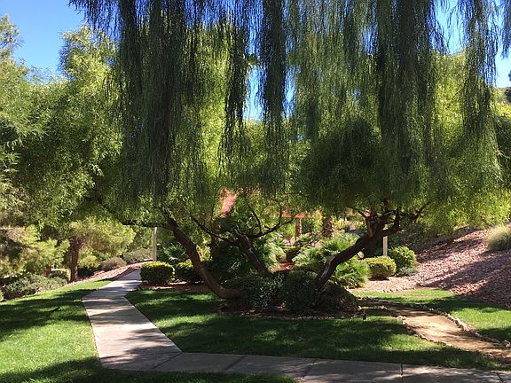 View from patio