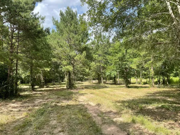 502 County Road 3408, Cleveland, TX 77327