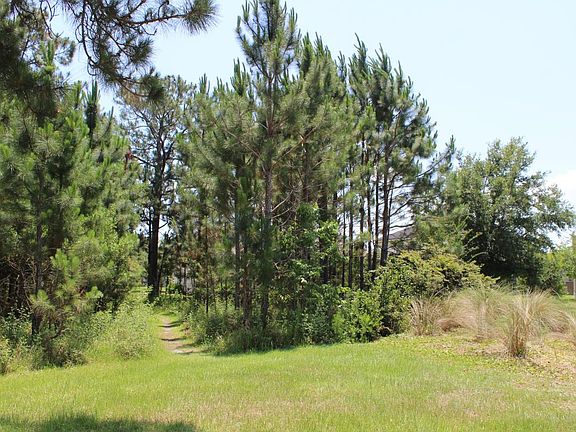 Wooded yard