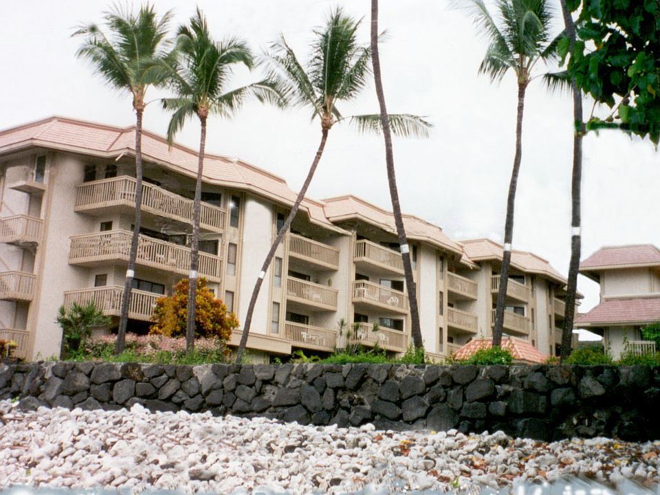  Royal Kahili