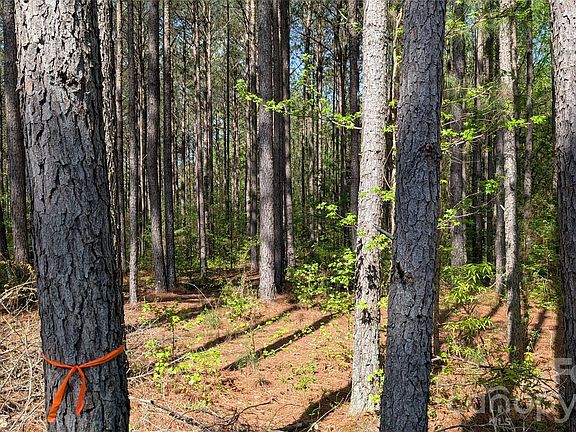 4th image of Boyd Rd