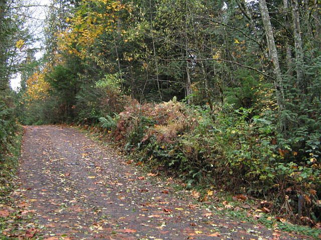 1st image of INTERSECTION OF Se 396th St And 303rd Ave Se