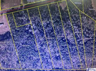 Grant Rd, Pamplico, SC 29583