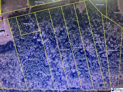 Grant Rd, Pamplico, SC, 29583