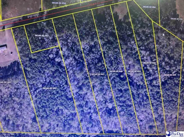 Grant Rd, Pamplico, SC 29583