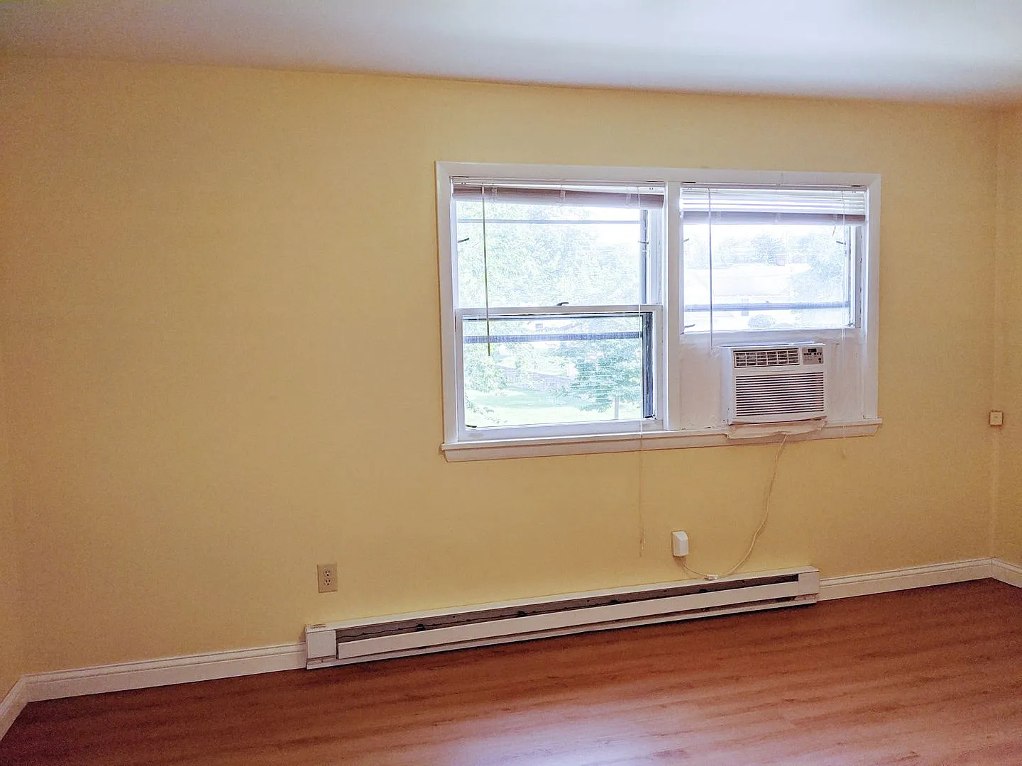 Sassafras Apartments — Photo 3