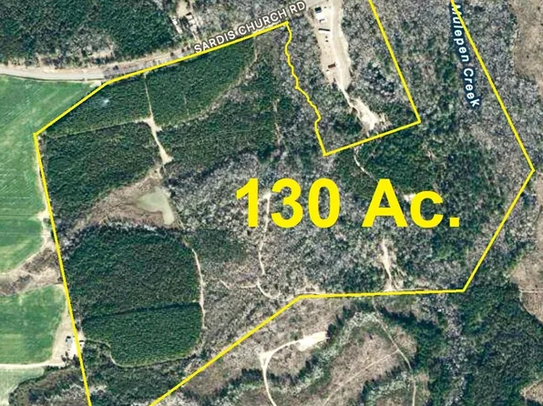 0 Sardis Church Rd, Kite, GA 31049