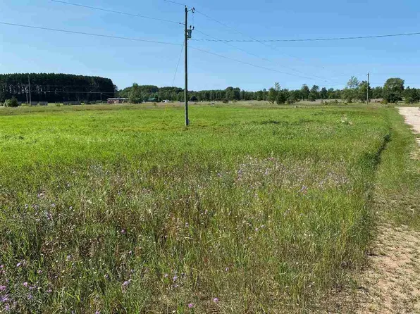 6122 Ringler Rd, Pellston, MI 49769