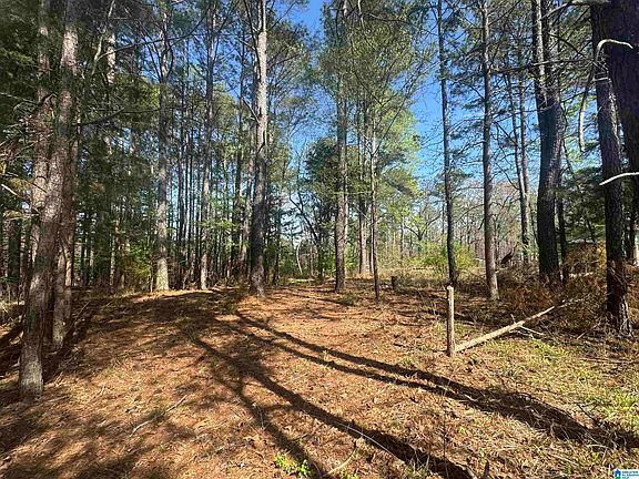 2nd image of 1265 Tim King Rd #0