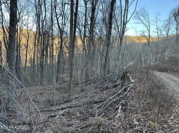 0 Stone Ridge Rd, Pikeville, TN 37367