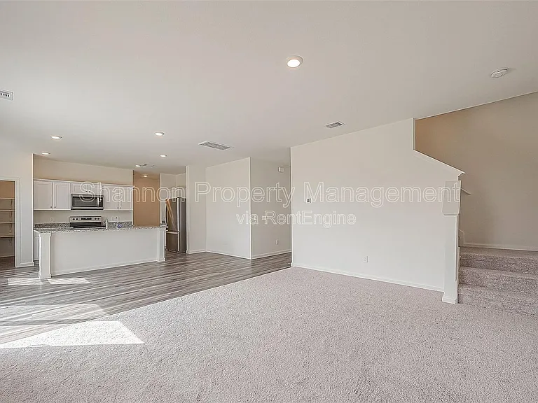 3993 Fringe Tree Ln — Photo 6
